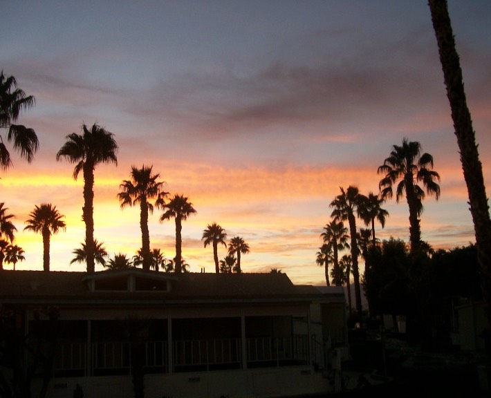 resize_100_2799