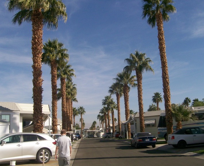 resize_100_2819